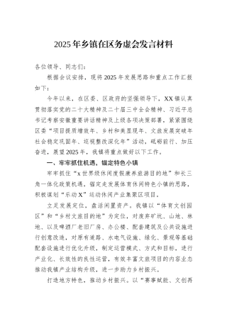2025年乡镇在区务虚会发言材料