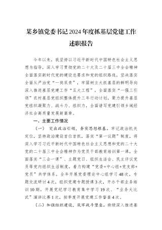 某乡镇党委书记2024年度抓基层党建工作述职报告