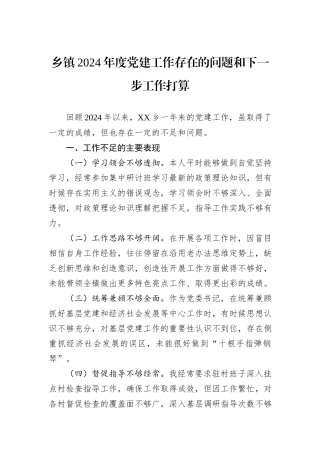 乡镇2024年度党建工作存在的问题和下一步工作打算