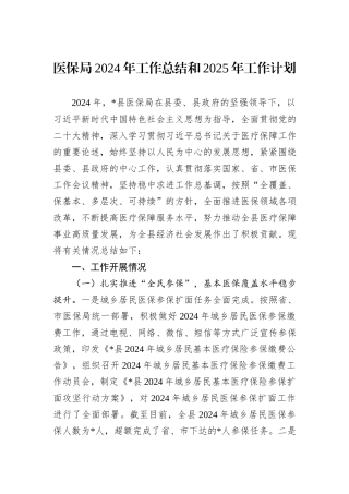 医保局2024年工作总结和2025年工作计划