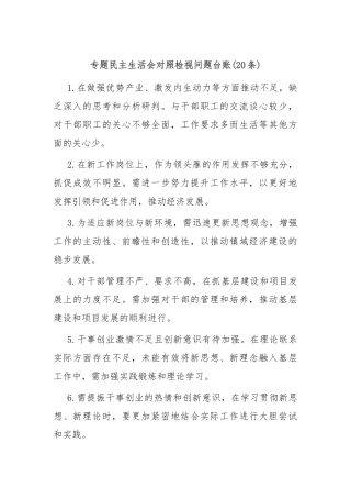 (20条)专题民主生活会对照检视问题台账