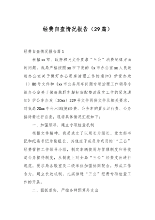 （29篇）经费自查情况报告