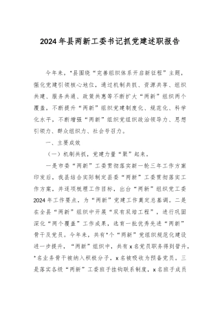 2024年县两新工委书记抓党建述职报告