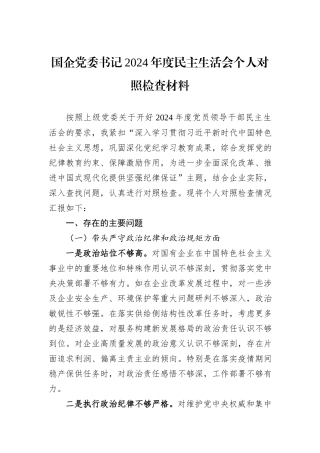 国企党委书记2024年度民主生活会个人对照检查材料