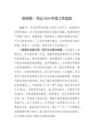 驻村第一书记2024年度工作总结