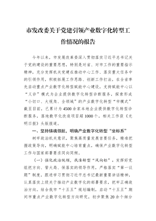 市发改委关于党建引领产业数字化转型工作情况的报告