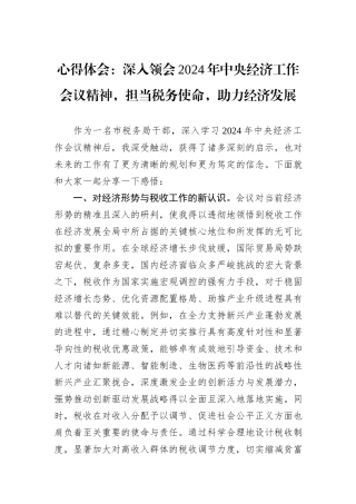 心得体会：深入领会2024年中央经济工作会议精神，担当税务使命，助力经济发展