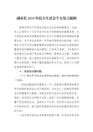 副市长2024年民主生活会个人发言提纲