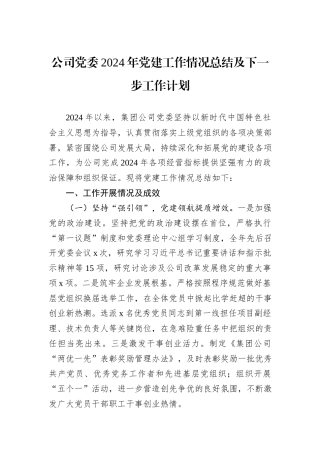 公司党委2024年党建工作情况总结及下一步工作计划