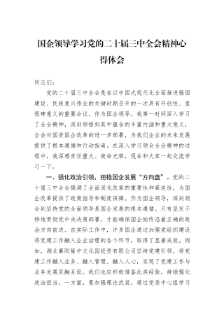 国企领导学习党的二十届三中全会精神心得体会