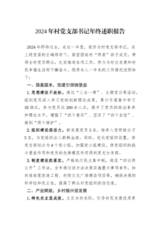 2024年村党支部书记年终述职报告