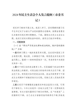 2024年民主生活会个人发言提纲（市委书记）