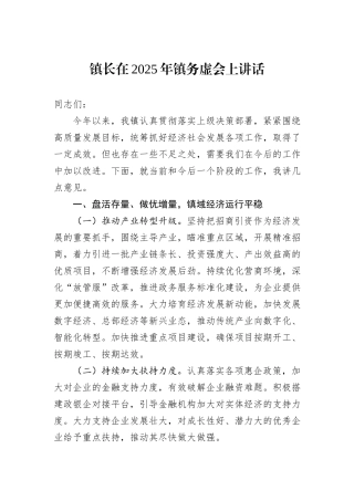 镇长在2025年镇务虚会上讲话