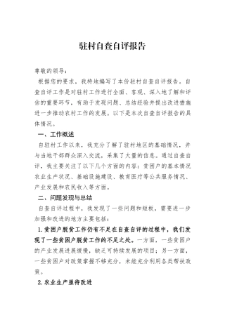 驻村自查自评报告