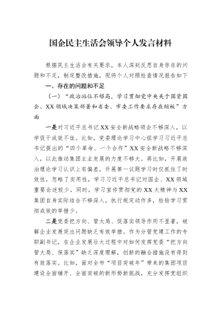 国企民主生活会领导个人发言材料