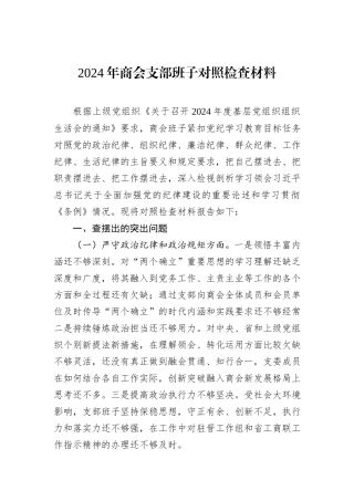 2024年商会支部班子对照检查材料