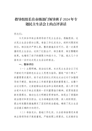 指导组组长在市级部门领导班子2024年专题民主生活会上的点评讲话