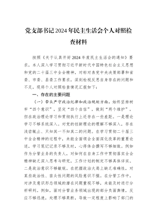 党支部书记2024年民主生活会个人对照检查材料