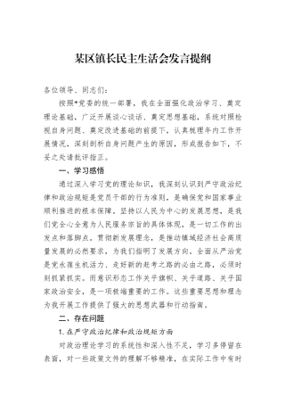 某区镇长民主生活会发言提纲