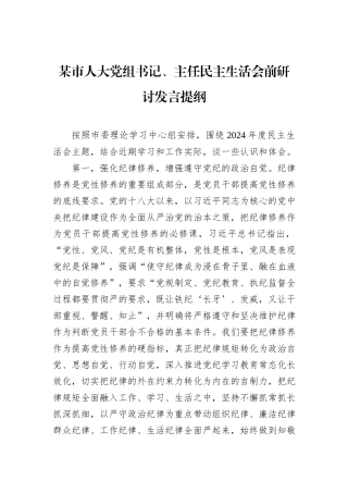 某市人大党组书记、主任民主生活会前研讨发言提纲