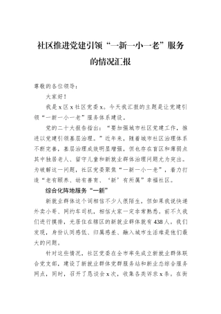 社区推进党建引领“一新一小一老”服务的情况汇报