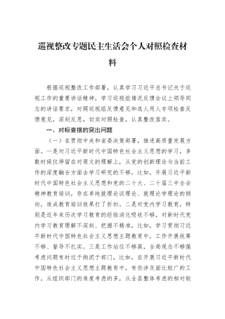 巡视整改专题民主生活会个人对照检查材料