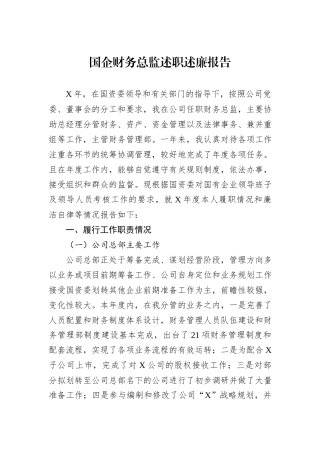 国企财务总监述职述廉报告