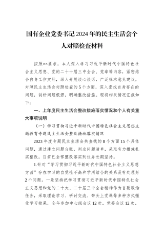 国有企业党委书记2024年的民主生活会个人对照检查材料