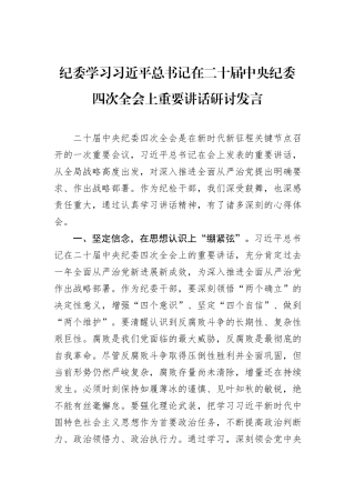 纪委学习习近平总书记在二十届中央纪委四次全会上重要讲话研讨发言