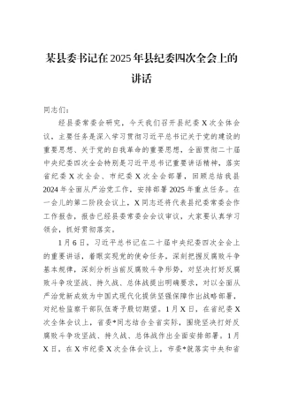 某县委书记在2025年县纪委四次全会上的讲话