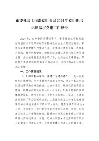市委社会工作部党组书记2024年党组织书记抓基层党建工作报告