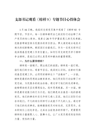 支部书记观看《榜样9》专题节目心得体会