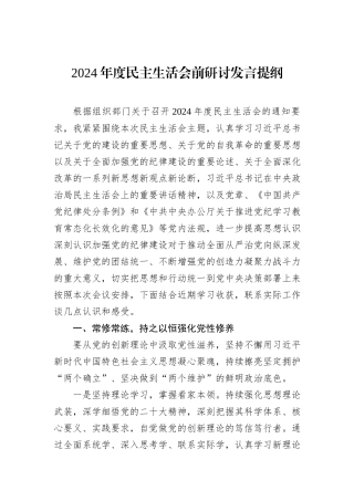 2024年度民主生活会前研讨发言提纲