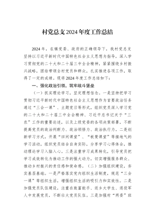 村党总支2024年度工作总结
