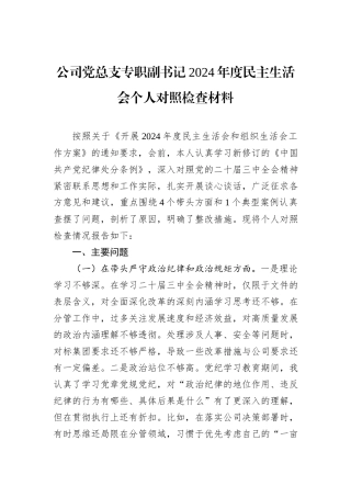公司党总支专职副书记2024年度民主生活会个人对照检查材料