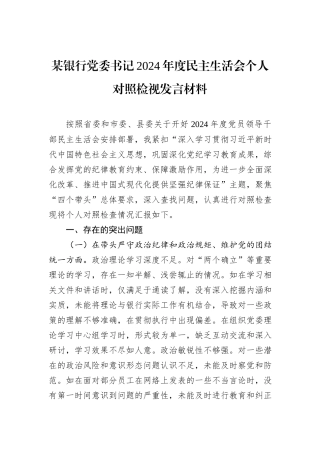 某银行党委书记2024年度民主生活会个人对照检视发言材料