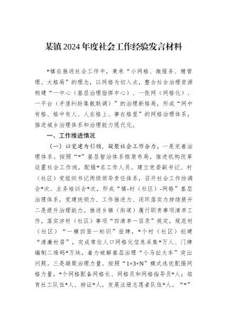 某镇2024年度社会工作经验发言材料