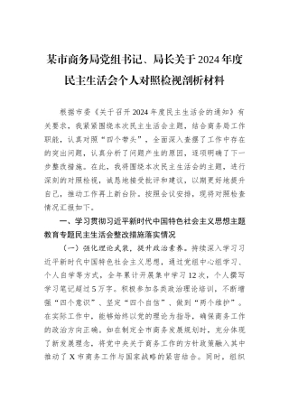 某市商务局党组书记、局长关于2024年度民主生活会个人对照检视剖析材料