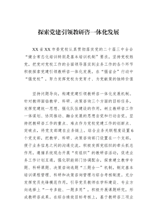 探索党建引领教研咨一体化发展