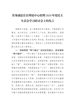 常务副县长在理论中心组暨2024年度民主生活会学习研讨会上的发言