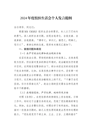 2024年度组织生活会个人发言提纲