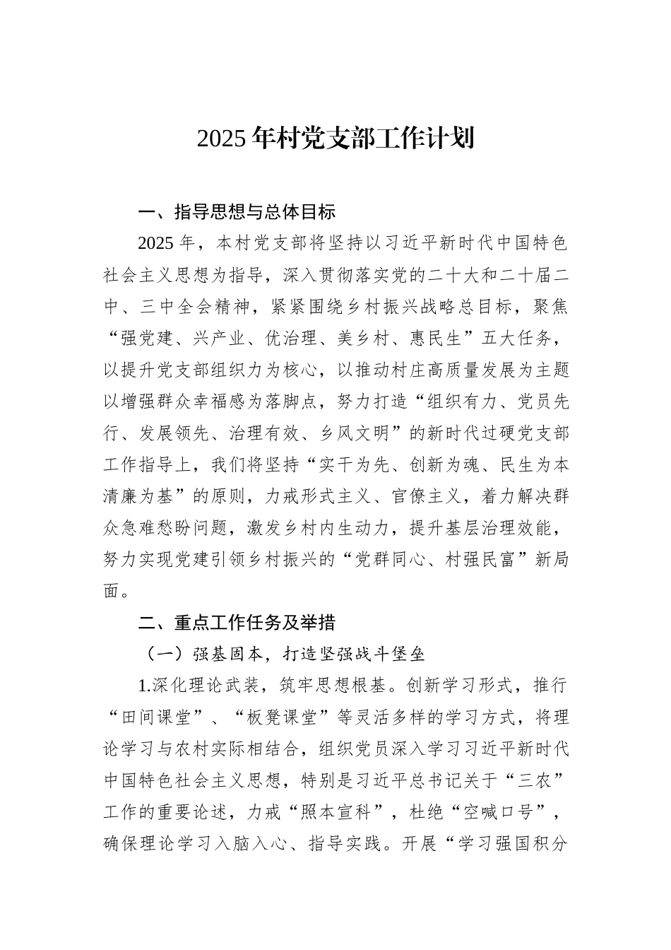 2025年村党支部工作计划_第1页