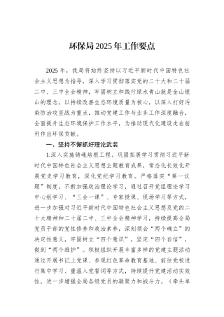 环保局2025年工作要点