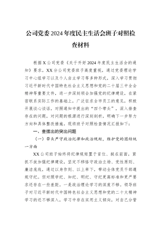 公司党委2024年度民主生活会班子对照检查材料