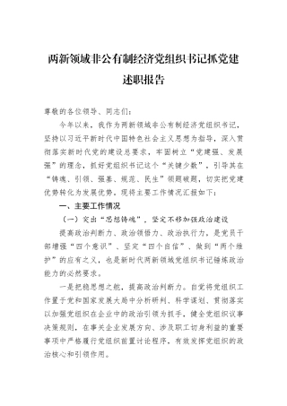 两新领域非公有制经济党组织书记抓党建述职报告