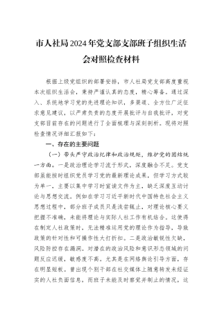 市人社局2024年党支部支部班子组织生活会对照检查材料