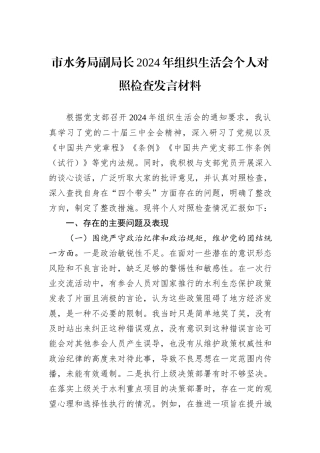 市水务局副局长2024年组织生活会个人对照检查发言材料