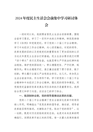 2024年度民主生活会会前集中学习研讨体会
