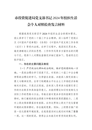 市投资促进局党支部书记2024年组织生活会个人对照检查发言材料