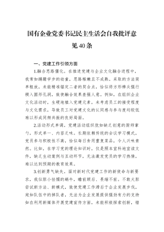 国有企业党委书记民主生活会自我批评意见40条